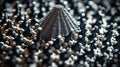 Magnificent Magnetic Symphony: Macro Details of White Ferrofluid\'s Hexagonal Biogenic Structures