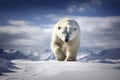 Magnificent Male Polar Bear waking toward the camera with snow background