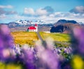 Magnificent morning view of ice iconic church - Ingjaldsholl. Bright summer scene of Iceland with field of blooming lupine flowers