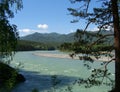 Magnificent mountain Altai landscape with branches, cedar on the Katun river mountains on the banks Royalty Free Stock Photo