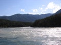 Magnificent mountain Altai landscape with branches, cedar on the Katun river mountains on the banks Royalty Free Stock Photo