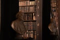 Old books on the shelves inside the Old library in Trinity College, Dublin - Ireland