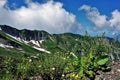 A magnificent panorama of the Caucasus. Sunny joyful summer day.