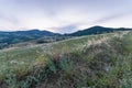 Pietra Parcellara, val trebbia, Bobbio, Piacenza