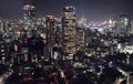 Magnificent panorama of night city from the high tower. Impressive highlight of the big city. Tokyo, Japan.