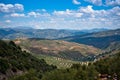 Magnificent panorama of surrounding olive Royalty Free Stock Photo