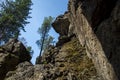 Magnificent panoramic view of the forest and beautiful blue sky.