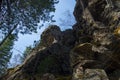 Magnificent panoramic view of the forest and beautiful blue sky.