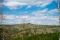 Magnificent panoramic view of the forest and beautiful blue sky.