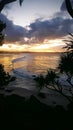 Magnificent photo of view overlooking Coolangatta Beach