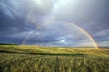 Magnificent rainbow over the forest and steppe Royalty Free Stock Photo
