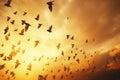 A Magnificent Scene of Birds Soaring Gracefully in the Splendid Early Morning Light, Calming Rhythms