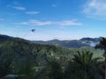 Magnificent scenery of the forest from the top of the hill.