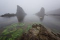 Magnificent seascape over the rock phenomenon The Ships, Sinemorets village, Bulgaria. Foggy weather. Royalty Free Stock Photo