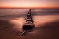 Magnificent seascape at sunset with stones covered seaweeds Royalty Free Stock Photo