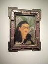 Magnificent self-portrait by Frida Kahlo exhibited at the Malba Museum of Latin American Art in Buenos Aires Argentina Royalty Free Stock Photo