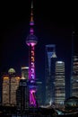 The magnificent skyline of Shanghai at night Royalty Free Stock Photo