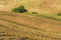 Magnificent spring rural landscape. Royalty Free Stock Photo