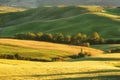 Magnificent spring rural landscape. Stunning view of tuscan green wave hills, amazing sunlight, beautiful golden fields and meadow Royalty Free Stock Photo