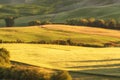 Magnificent spring rural landscape. Stunning view of tuscan green wave hills, amazing sunlight, beautiful golden fields and meadow Royalty Free Stock Photo