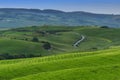 Magnificent spring rural landscape. Stunning view of tuscan green wave hills, amazing sunlight, beautiful golden fields and meadow Royalty Free Stock Photo