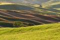 Magnificent spring rural landscape. Stunning view of tuscan green wave hills, amazing sunlight, beautiful golden fields and meadow Royalty Free Stock Photo