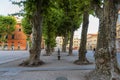 Magnificent summer daily view of the Piazza San Michele Saint Michael square in Lucca, Italy.