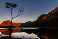 Magnificent sunset on glowing moutains with a mirror lake and a silhouetted birch tree in Buttermere Cumbria, England,