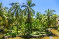 The magnificent territory of a five-star hotel, bordered by a beautiful pond with fish