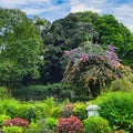 Tropical park with beautiful trees and flowers. Royalty Free Stock Photo