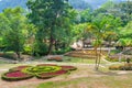 Magnificent tropical park with palm trees and flowers in Dalat Royalty Free Stock Photo