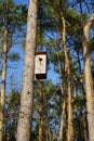 Birdhouse on a tree in a Berlin forest in winter. Berlin, Germany