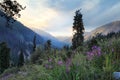 The magnificent view of Tien Shan Tian Shan mountains