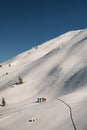magnificent view of a high snow-covered mountain on the slope of which a group of skiers climb