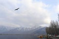 A magnificent view of Kashmir near the lake at Srinagar Royalty Free Stock Photo