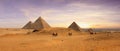 Magnificent view of the pyramids of Giza in Cairo