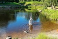 Russia, Priozersk, August 2020. A man in a shirt underwear bathes in the lake.