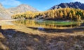 Magnificent views of the high turquoise lake and mountains covered with yellow larch forest, autumn Siberia, Altai. Royalty Free Stock Photo