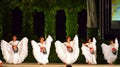 Magnificent white dressed ballerinas