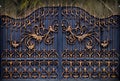 Magnificent wrought-iron gates, ornamental forging, forged elements close-up Royalty Free Stock Photo