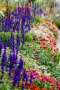 magnificently designed flower bed in full bloom