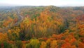 Magnificient colourful autumn forest