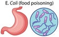 Magnified cells of food poisoning