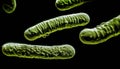 Magnified Image of Microorganisms: Bacteria and Viruses - Generative AI Royalty Free Stock Photo