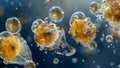 A magnified view of a group of tardigrades swimming gracefully in a drop of water their tiny bodies gliding through the