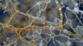 A magnified view of a hyphae branching off into multiple smaller hyphae creating a fractallike pattern. .