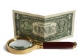 Magnifier and dollar