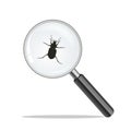 Magnify glass and bug. Virus concept Royalty Free Stock Photo