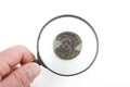 Magnifying glass and ancient coins Royalty Free Stock Photo