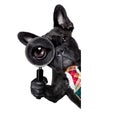 Magnifying glass dog Royalty Free Stock Photo